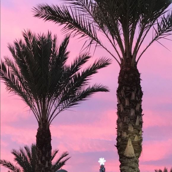 Meet your Posher, Dexi - Picture 1 of 1